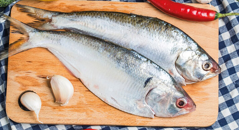 frozen foods poisson frais